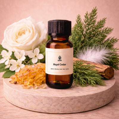 Royal Cedar Fragrance Oil