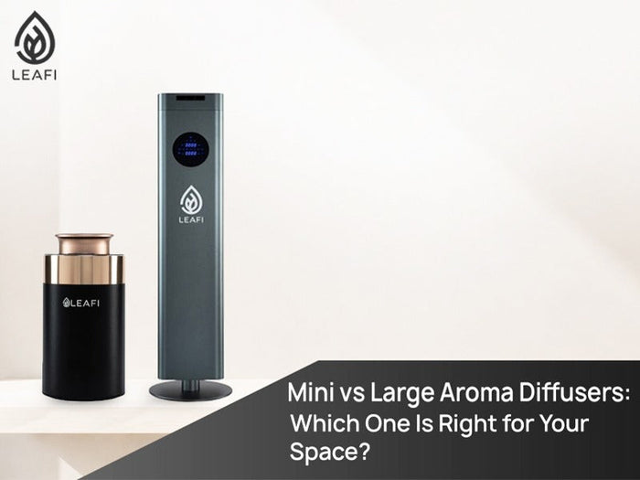 Mini vs Large Aroma Diffusers: Which One Is Right for Your Space?