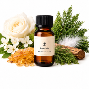 Royal Cedar Fragrance Oil